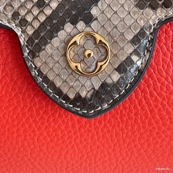 LOUIS VUITTON CAPUCINES MINI 0117